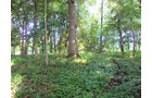 Property photo 3 - 72 Acres offered in 6 Tracts